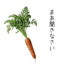 ウザイカレーの具材たち