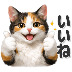 毎日使える！ 三毛猫