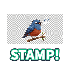 Blue Rock Thrush wwww