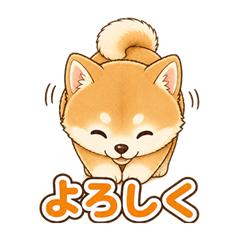 まいにち柴っこ