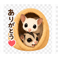 フクロモモンガのお話し