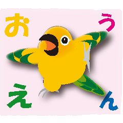 応援してくれるインコ