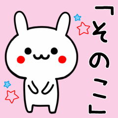 【そのこ】専用うさぎ