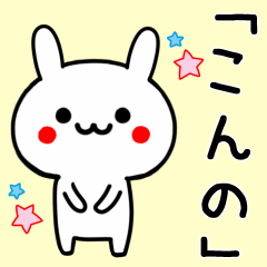 【こんの】専用うさぎ
