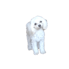 そらくん　半分文字なし