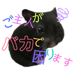 隆盛へ納言からの贈り物