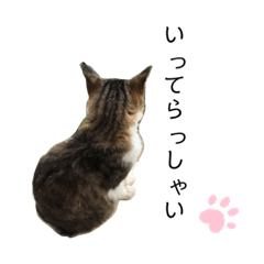 うちのむぎスタンプ