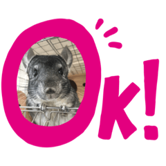 チンチラ☆Seuさん☆スタンプ☆