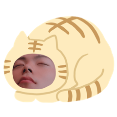 だいやすたんぷ