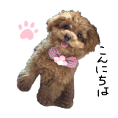 コロンコロンコロンティン