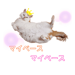 こはる☆さくら