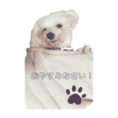 もこもこの生活