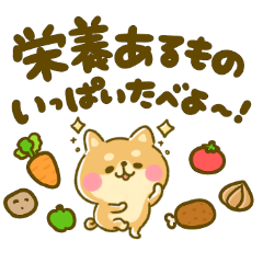 コロナになんか負けないぞ‼︎豆柴ちゃん