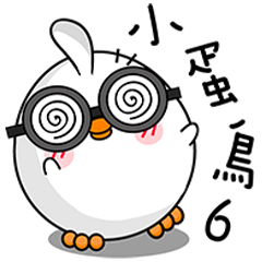 The little Cute Bird 6