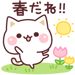 気づかいのできるネコ♪春・GW編