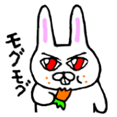 見つめるウサギ