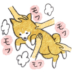 だいすき豆柴。