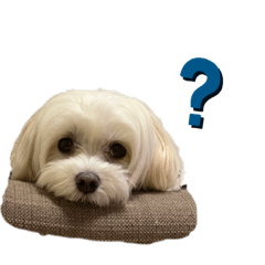 自由なゆなちゃん。