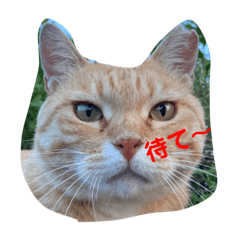 遊びにくるムッキー（むつき）スタンプ。