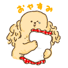 アメリカンコッカー【いぬのきもち】