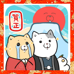 飛び出す！泣きむし猫のキィちゃん