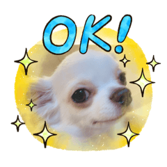 テンくん&ルイくん