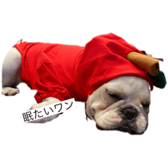 ハナの日常会話