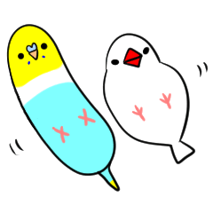 ブンチョウとインコ時々ネコ①