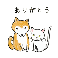 柴犬と白い猫と私