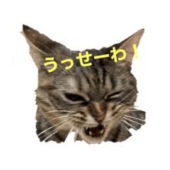 パパニャンズスタンプ NO1