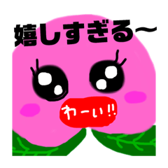 モモちゃんの生活