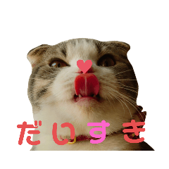 ながそさんちのチコちゃん