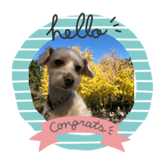 ビンゴスタンプ