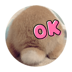 うさぎのおかか