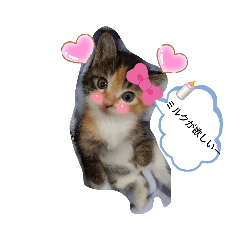 猫のきもちスタンプ