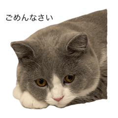 マシューとタビ