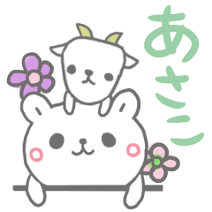 あさこっていう名前