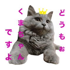 男かな？女かな？でお馴染みのクマです！1