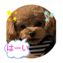 マロンのゆかいなスタンプ5