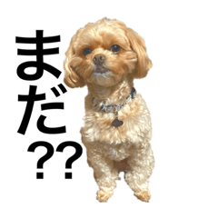 うちの空(くう)③