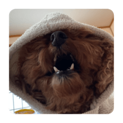 おばばのふうわ