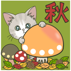 【動く】仔猫のぽんにゃん☆毎日使える