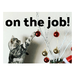 ハナサラ姉妹Ⅴ