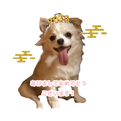 スーパーキュートかいとのスタンプ4(冬)