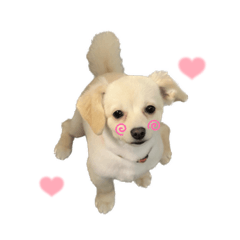 きなこもちやで