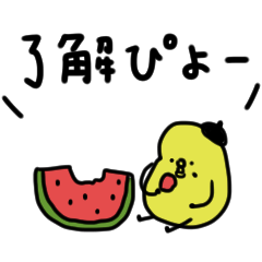 ぴよ吉。ゆるい。夏編。