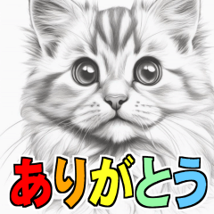 可愛い子猫の日常