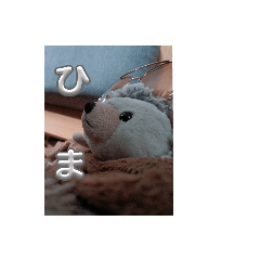 私の人形で作りました