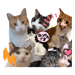 うにかきいなり小太郎ビビ太ねぎつぶ