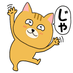 ネコのねこ吉10